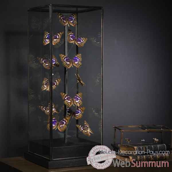 Globe de 12 papillons violets Objet de Curiosit -IN093