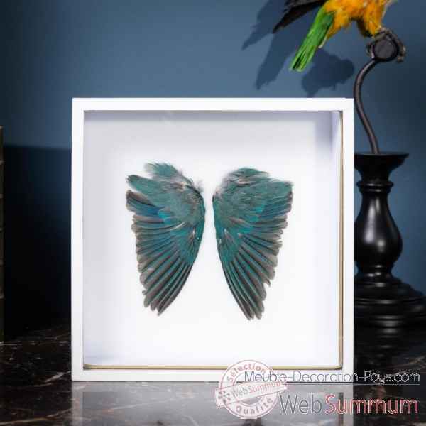 Paire ailes bleues guepier d\'europe Objet de Curiosite -PU562