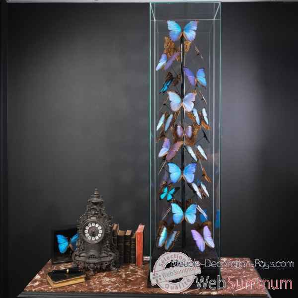 Papillons bleus morphos (40) Objet de Curiosit -IN088