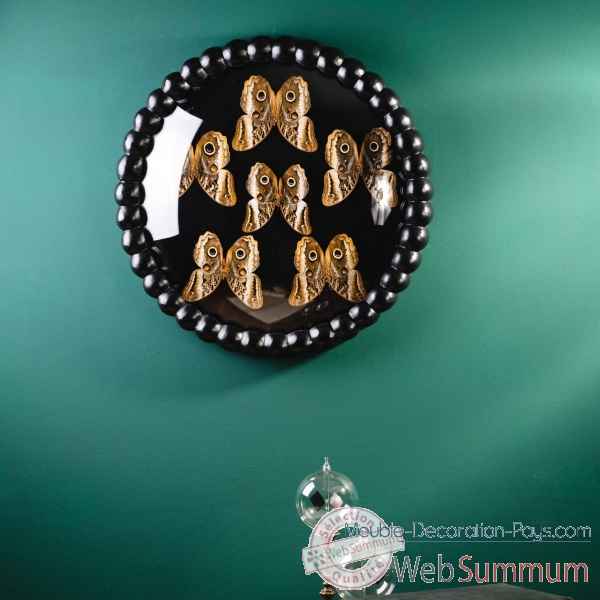 6 papillons caligo atreus, cadre perles noires Objet de Curiosit -IN124