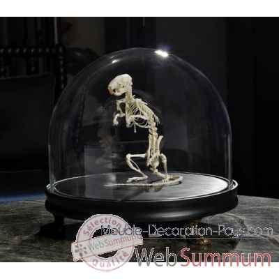Squelette de rat debout sous globe Objet de Curiosite -AN169