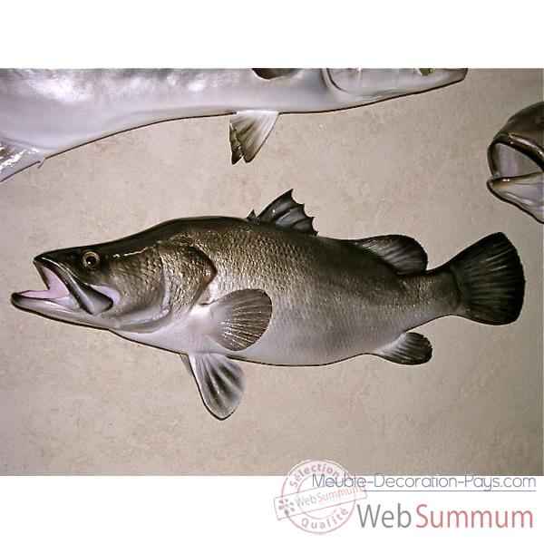 Trophee poisson d\\\'eau douce tropicale Cap Vert Perche du Nil -TR020