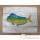 Cadre poisson des tropiques Cap Vert Coryphene -CADR33