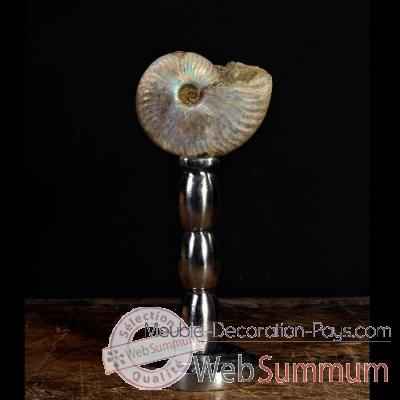 Ammonite nacree Objet de Curiosite -FO005