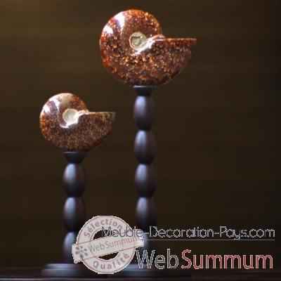 Ammonite opalinisee clioniceras Objet de Curiosite -FO006