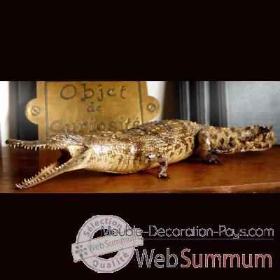 Crocodylus niloticus Objet de Curiosite -PU174