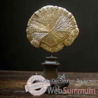 Pyrite dollar Objet de Curiosite -MI033