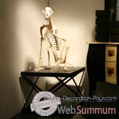 Squelette de guepard sur sellette industrielle Objet de Curiosite -PU284
