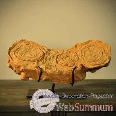 Stromatolithe Objet de Curiosite -PUFO120