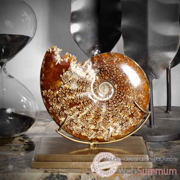 Ammonite avec bouche decoupee gm Objet de Curiosite -PUFO264-3