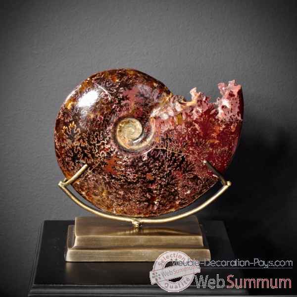 Ammonite avec bouche decoupee pm Objet de Curiosite -PUFO265-1