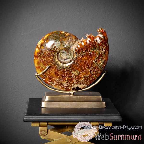 Ammonite avec bouche decoupee pm Objet de Curiosite -PUFO265-2