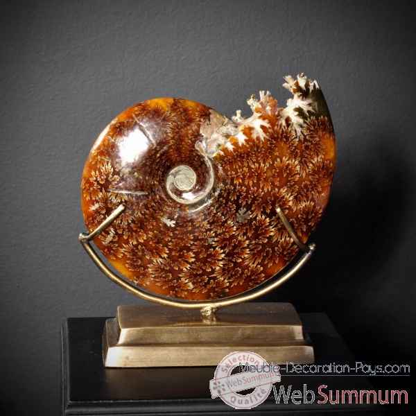 Ammonite avec bouche decoupee pm Objet de Curiosite -PUFO265-3