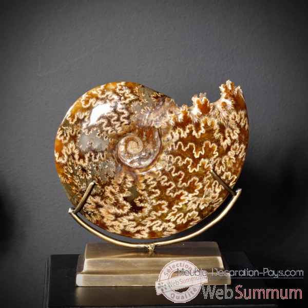 Ammonite avec bouche decoupee pm Objet de Curiosite -PUFO265-4