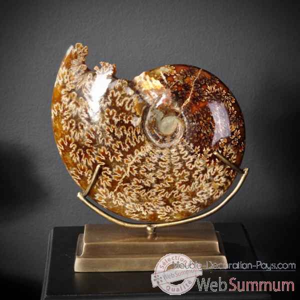 Ammonite avec bouche decoupee pm Objet de Curiosite -PUFO265-5