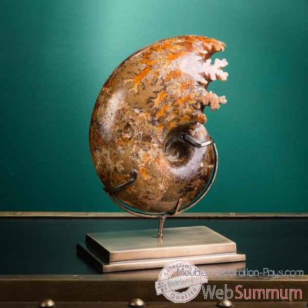 Ammonite de befandriana (madagascar) Objet de Curiosite -PUFO321