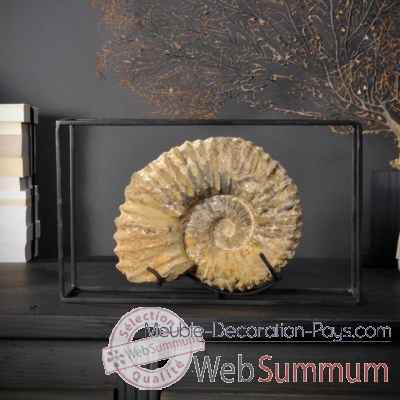 Ammonite (maroc) Objet de Curiosite -FO029
