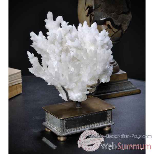 Aragonite blanche pm sur socle mioir Objet de Curiosite -PUMI412