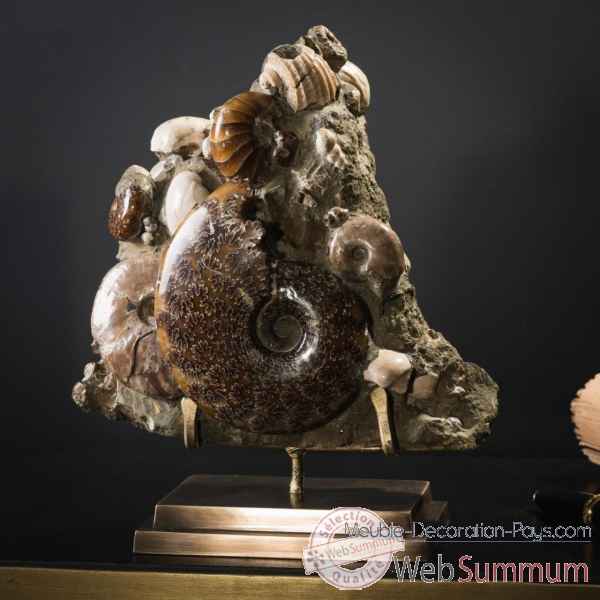 Bloc d'ammonites de l'albien - 3-4kg Objet de Curiosite -PUFO305-2