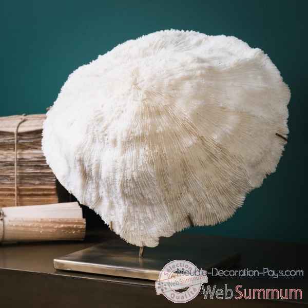 Corail blanc bowl tgm Objet de Curiosite -CO345-1