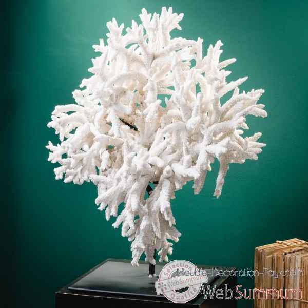 Corail blanc en branche acropora florida Objet de Curiosite -CO403