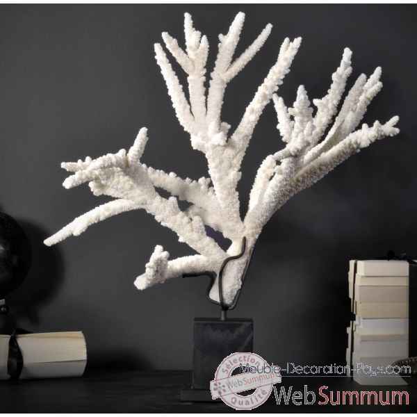 Corail branche blanche tgm Objet de Curiosite -CO263-6