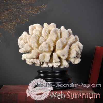 Corail cauliflower pm Objet de Curiosite -CO268-X