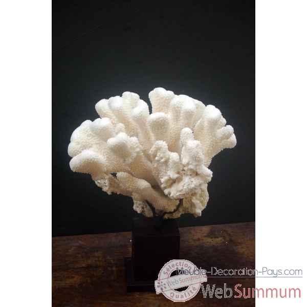 Corail corne de daim blanc sur socle 6 Objet de Curiosite -CO169-24