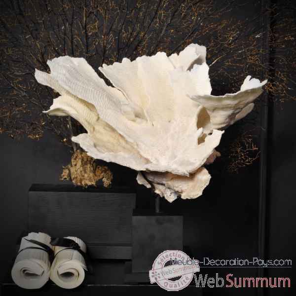 Corail cup turbinaria forme couronne Objet de Curiosite -CO275-2