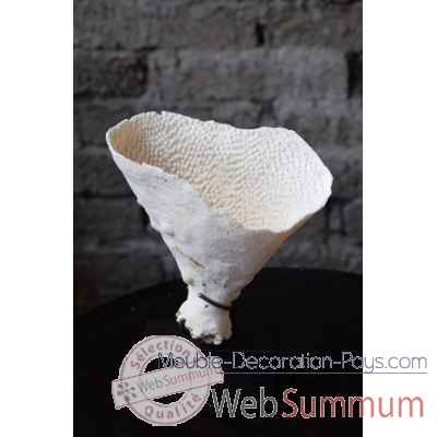 Corail laitue cup sur mini-socle rectangle Objet de Curiosite -CO139-X