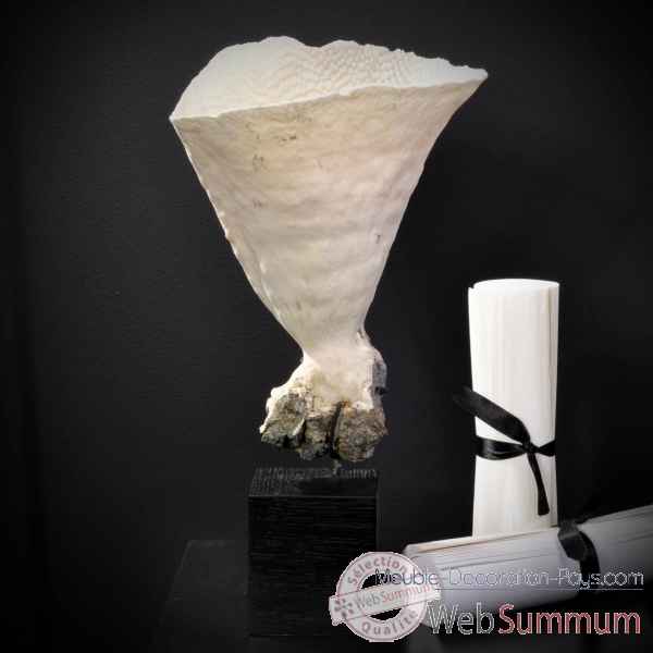 Corail laitue cup sur socle carre 6 Objet de Curiosite -CO171-1