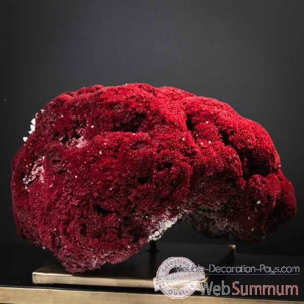 Corail rouge tgm tubipora musica Objet de Curiosite -CO377-1