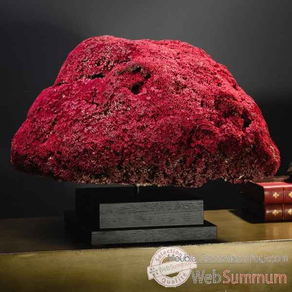 Corail rouge tgm tubipora musica Objet de Curiosite -CO386-2