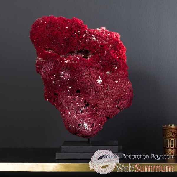 Corail rouge tubipora musica env 40cm Objet de Curiosite -CO295-7