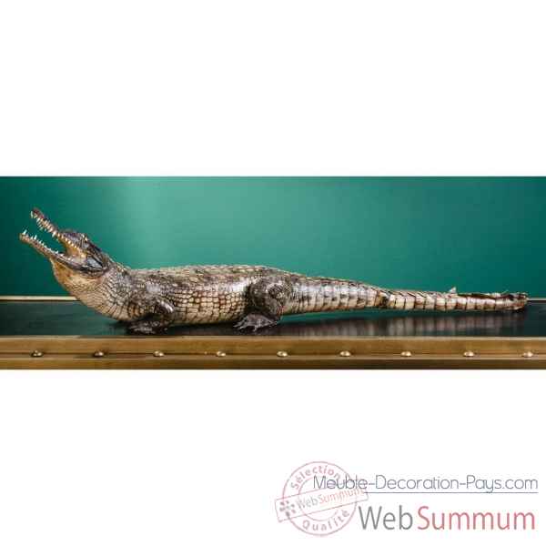 Crocodile du nil empaille Objet de Curiosite -PU174-1
