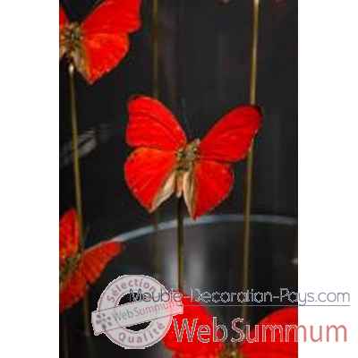 Globe de 11 papillons rouges Objet de Curiosite -IN077