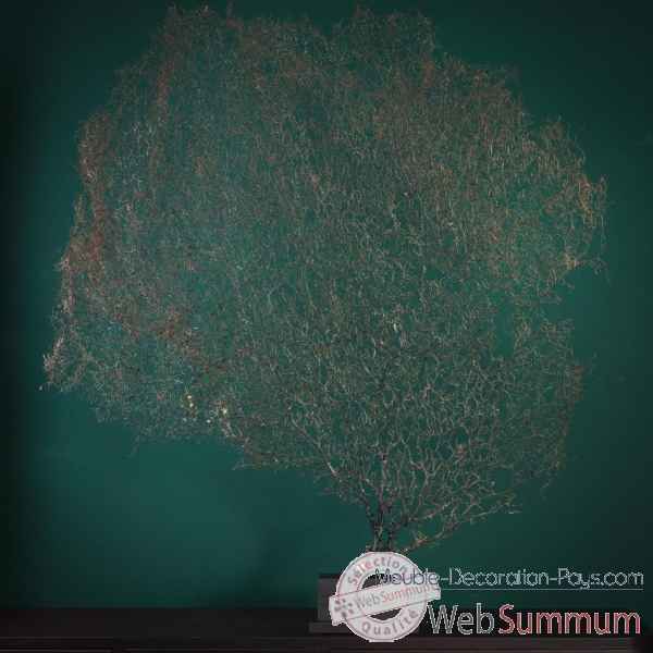 Gorgone noire h.140cm env. Objet de Curiosite -PU557-4