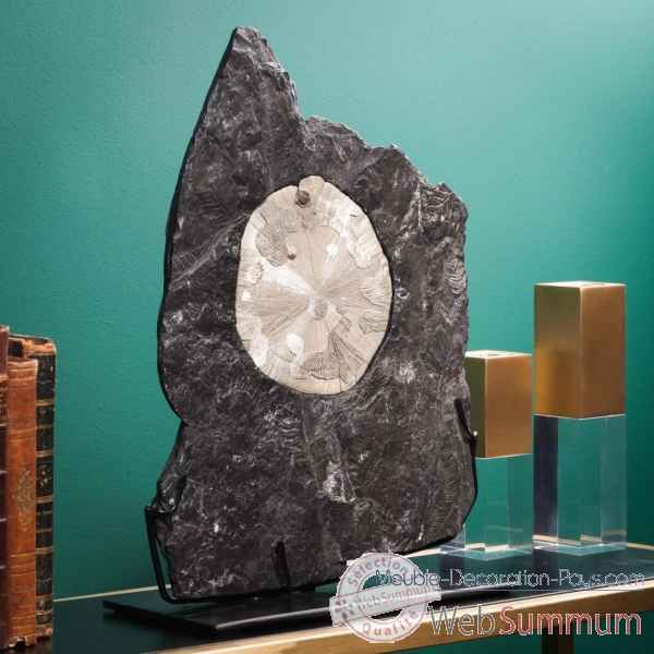 Pyrite dollars sur gangue 3.5kg Objet de Curiosite -PUMI843