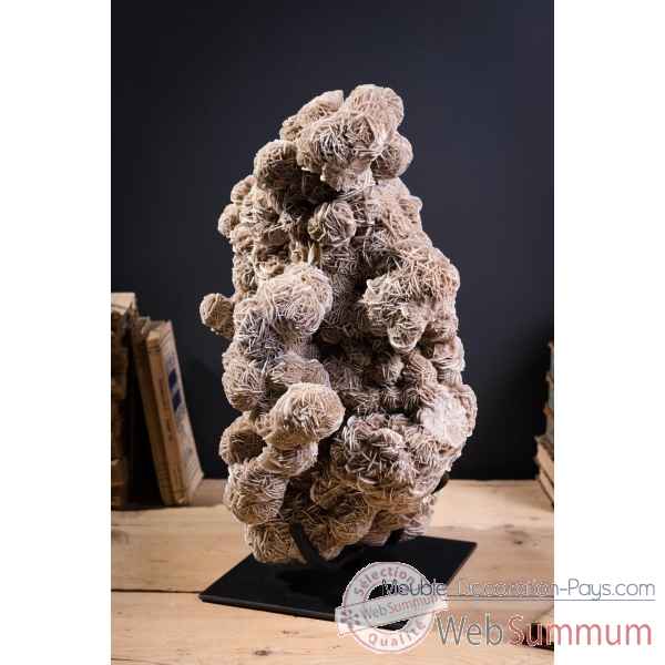Rose des sables du mexique gm Objet de Curiosite -PUMI554
