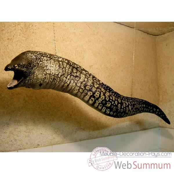 Trophee mammifere marin Cap Vert Murene -TRDF27