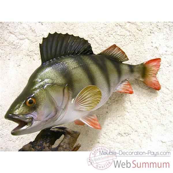 Trophee poisson d\'eau douce Cap Vert Perche -TR08
