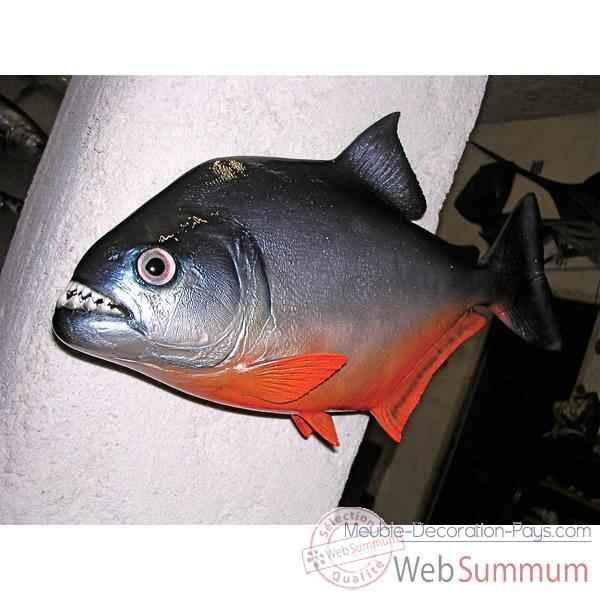 Trophée poisson d\\\'eau douce tropicale Cap Vert Piranha -TR021
