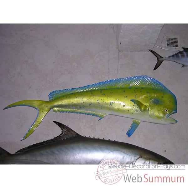 Trophée poisson des mers tropicales Cap Vert Coryphène -TR054