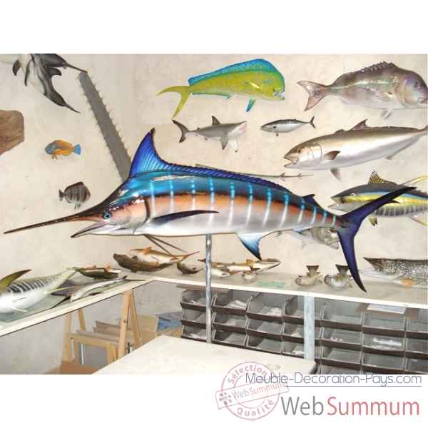 Trophée poisson des mers tropicales Cap Vert Marlin bleu -TRDF59