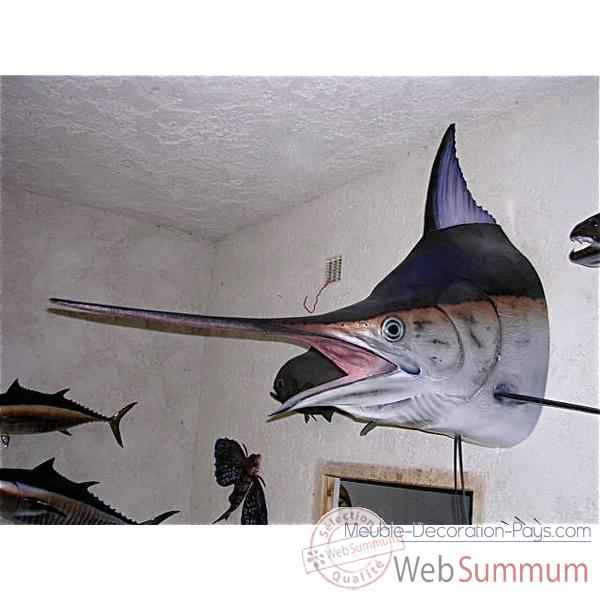 Trophée poisson des mers tropicales Cap Vert Marlin noir tête -TRDF65