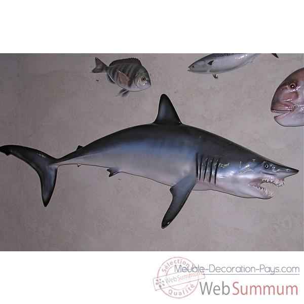 Trophee poisson des mers tropicales Cap Vert Requin mako -TR065