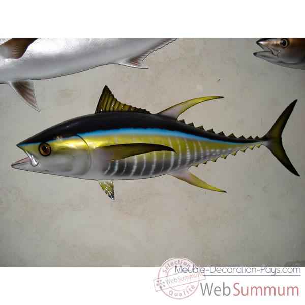 Trophee poisson des mers tropicales Cap Vert Thon jaune -TR066